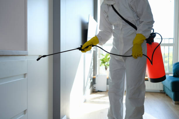 Best Mold Removal Company Near Me  in Odessa, TX