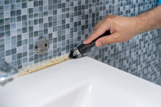 Best Home Mold Removal  in Odessa, TX