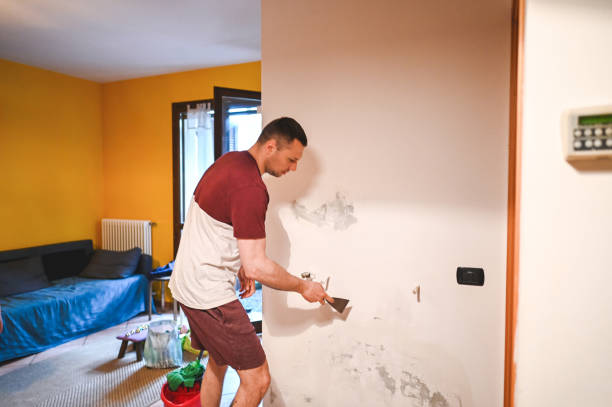 Best Attic Mold Removal  in Odessa, TX