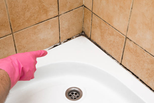 Certified Mold Removal in Odessa, TX